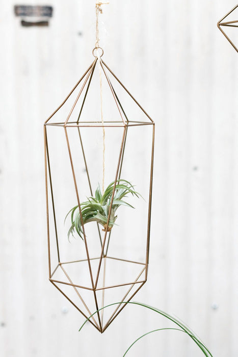 Tillandsia Hanger